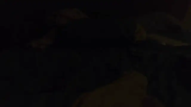 k-dong Pertunjukan Webcam