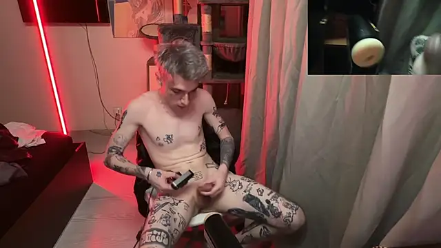 davesinner Show Webcam