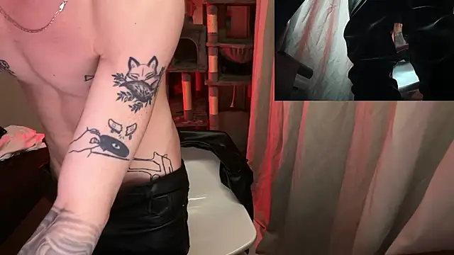 davesinner Show Webcam