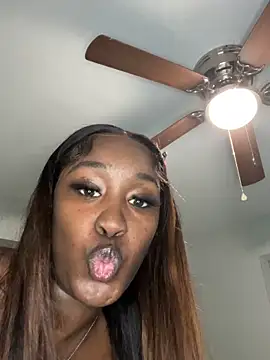 ToyaThick's Webcam Show