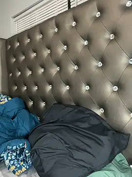 ToyaThick's Webcam Show