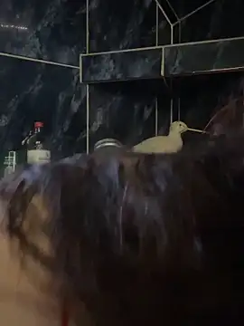 savageebny – Naživo XXX chat