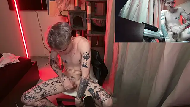 davesinner's Webcam Show