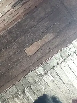 ThethunderPo's Webcam Show