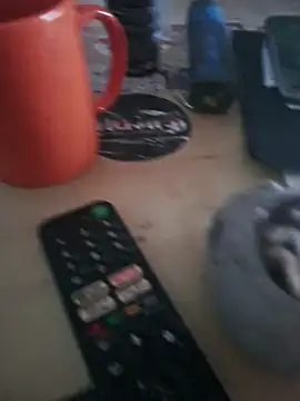 chriss13fc Show in webcam