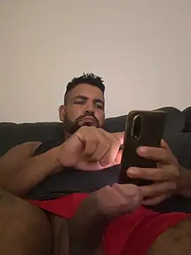 Show de webcam de adgato