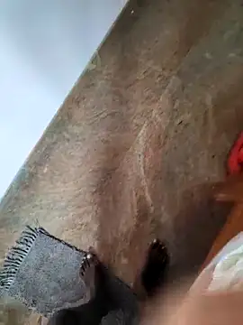 Paramkeerthi Pertunjukan Webcam