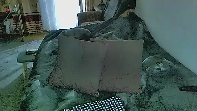 Czat XXX na  żywo – sex2