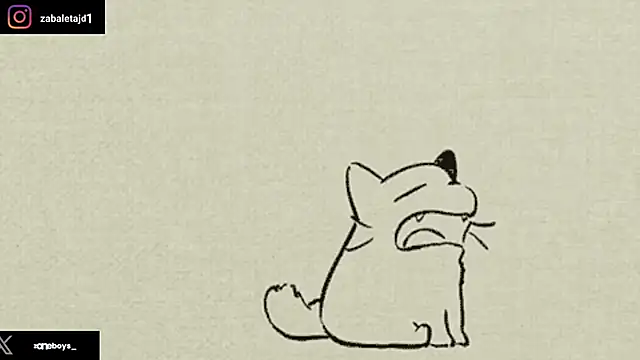 zoneboys: απευθείας συνομιλία ΧΧΧ