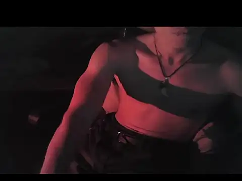 Starfax2903n Webbikameraesitys