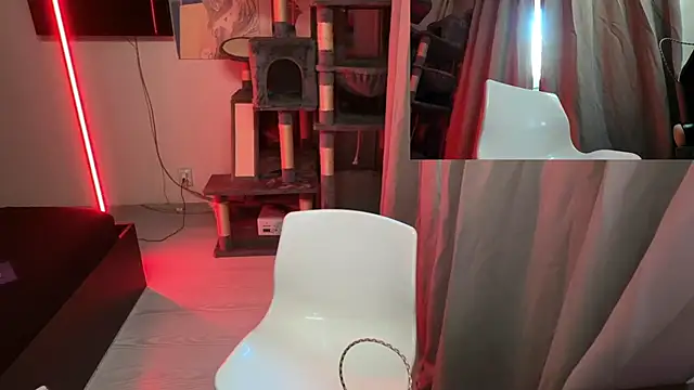 davesinner Webcam-Show