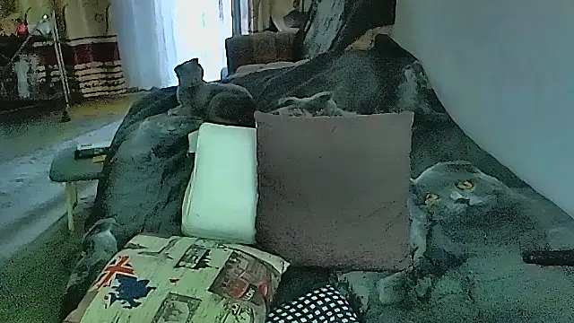 sex2のライブXXXチャット