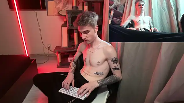 Show Webcam de davesinner