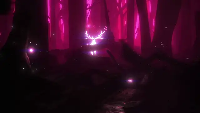 BimboCat: вебкам-шоу