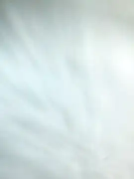 Show Webcam de Jesus16c