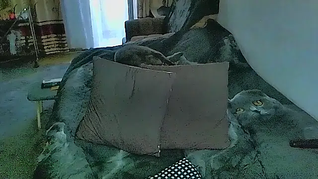 sex2 – Live XXX-chat