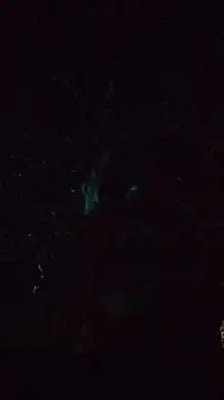 Онлайн чат XXX XXCUTHULU23