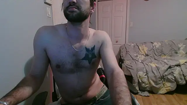 Ardokks 网络视讯表演