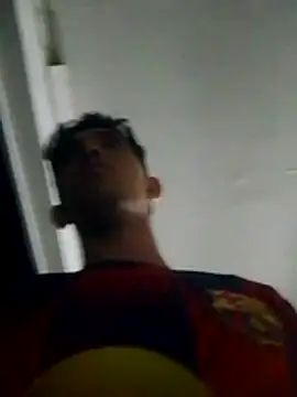 Show webcam de Noscay