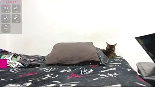 Czat XXX na żywo – logan_x3