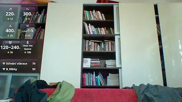 Matttthees – Kamerová šou