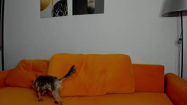 Chatroom XXX en direct de Patricia_bloom