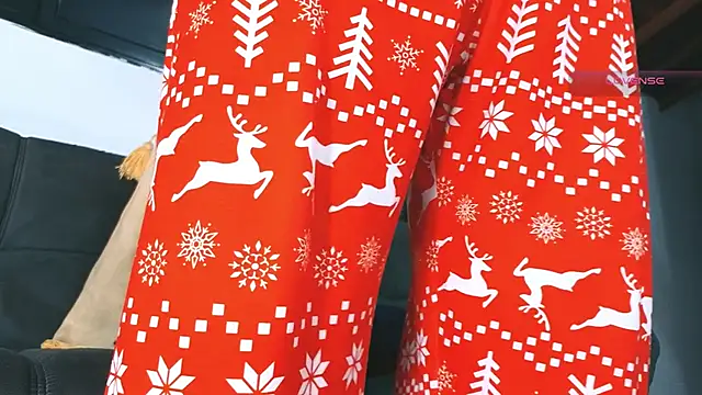 SilvaBrankoのウェブカメラショー