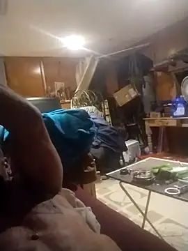 AceticPinscher: διαδικτυακό σόου στην κάμερα