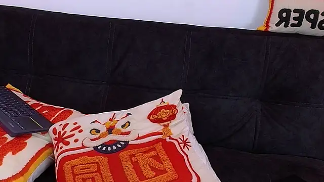 arcano__rhn Webbikameraesitys