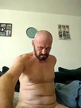 Pokazy przed kamerką – wilkalfa