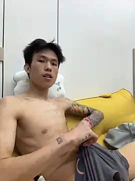 zzzzppp3のウェブカメラショー