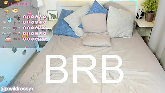 wildrossy 现场XXX聊天