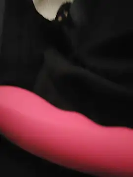 Show Webcam de catluvr999