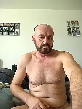 wilkalfa 网络视讯表演