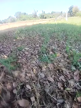 Webkamerová show Sharmasamba