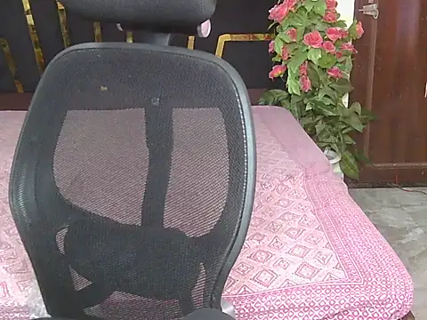 Show webcam de Its-akeera