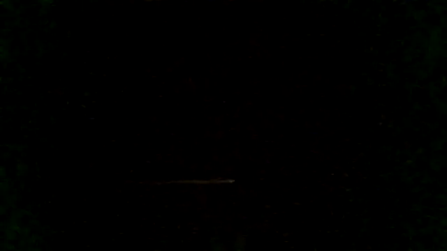 818horny's Live XXX Chat