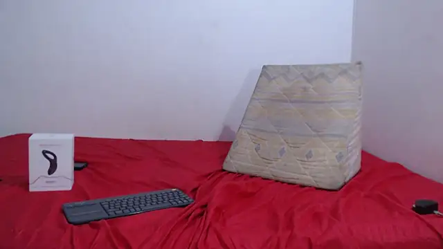 Vlad__night 웹캠 쇼