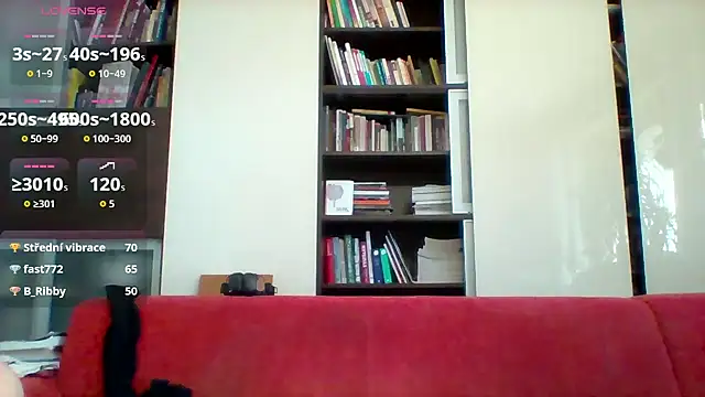 Show webcam de Matttthees