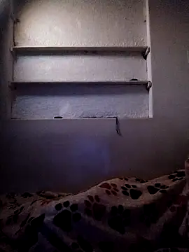 Cameron_puppy 웹캠 쇼