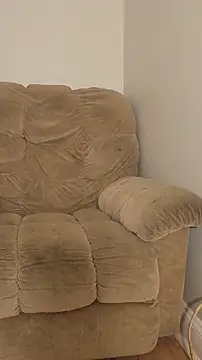 Pertunjukan Kamera Web AllLeggs