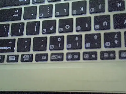 Delicious-D ওয়েবক্যাম শো