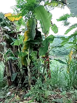 Онлайн чат XXX Ruby_Lucy