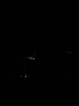 Marianatrans01 Webcamshow