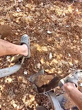 Mahmut4848 Pertunjukan Webcam