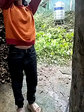 Hoa-tuylip Pertunjukan Webcam