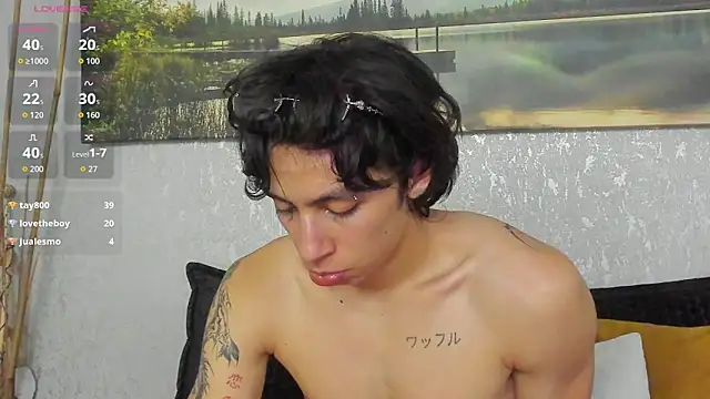 Tyler_durten: διαδικτυακό σόου στην κάμερα