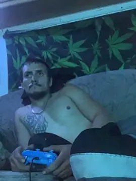 Show Webcam de bugboy