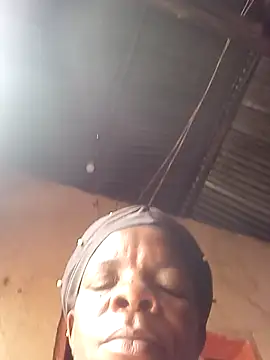 stable_23 লাইভ XXX চ্যাট