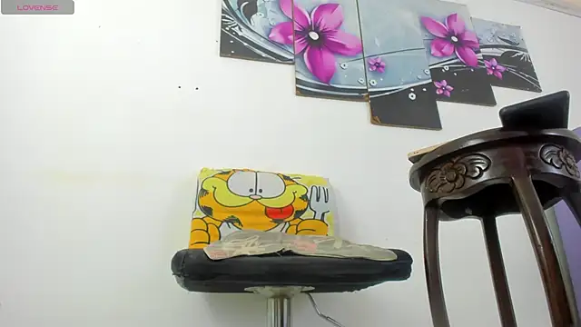 Show webcam de baiolethX